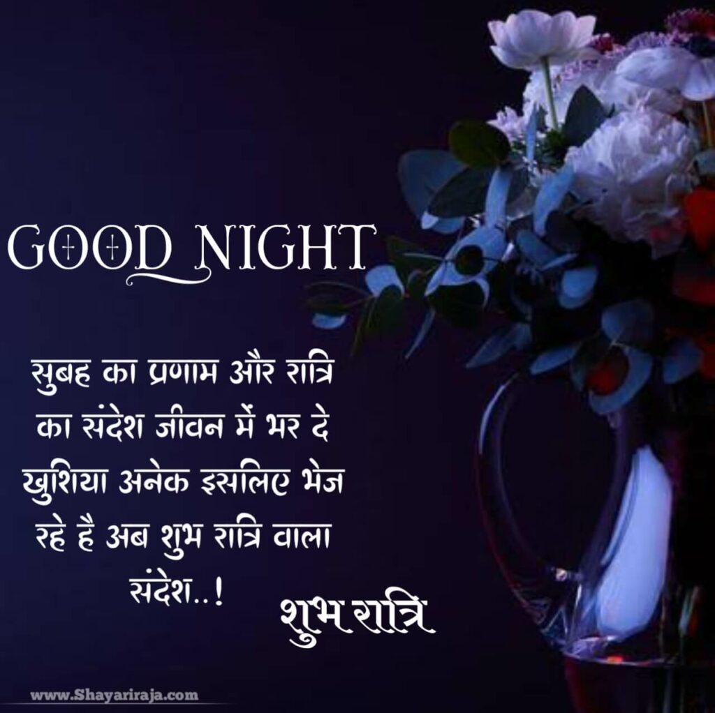 Love Good Night Shayari