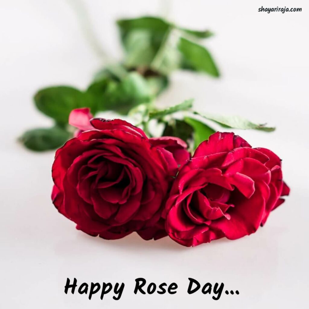 Image of Happy Rose Day