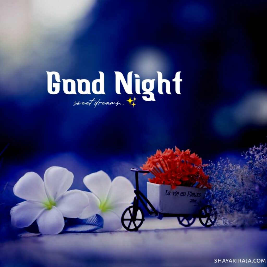 Good Night Images Hindi
