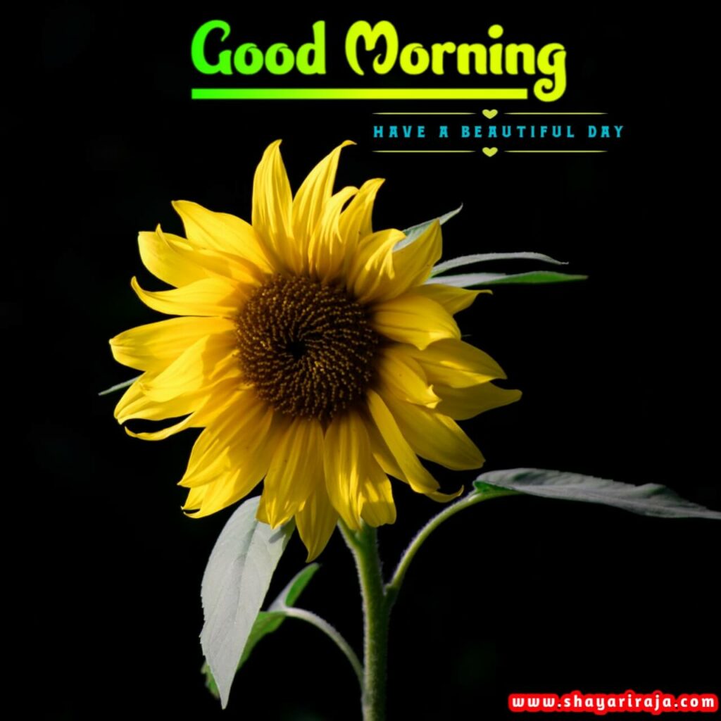 Image of Good Morning Wishes