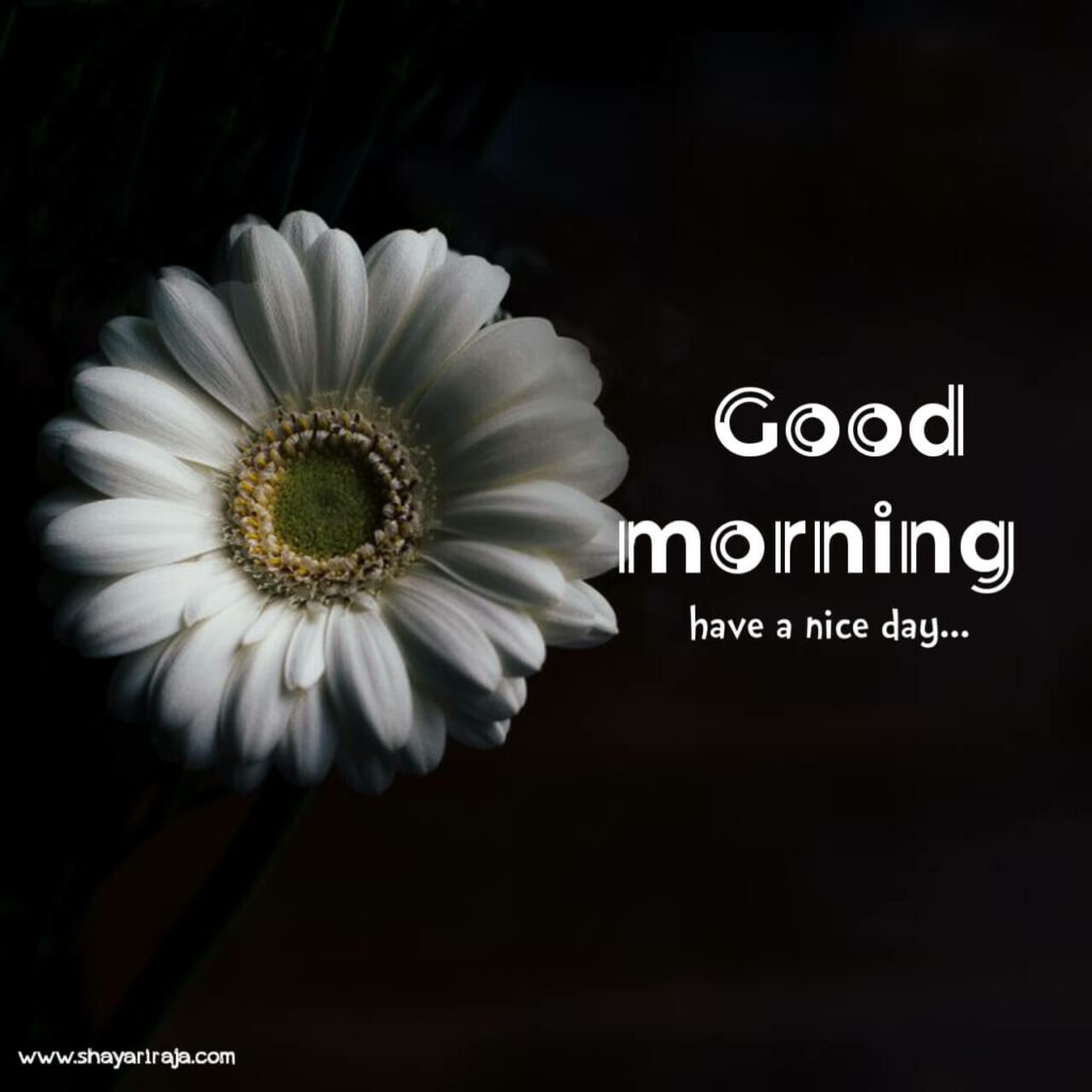 Image of Good Morning Quotes