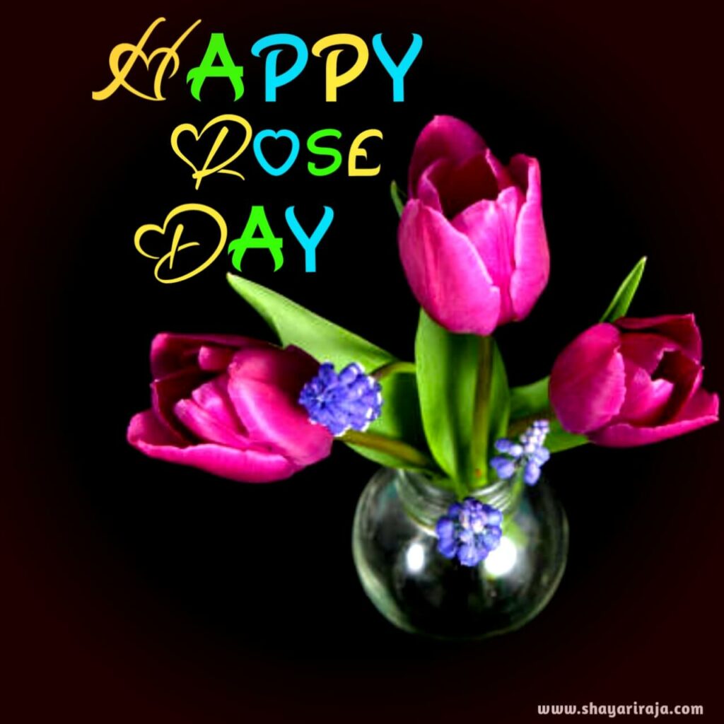 Image of Rose images