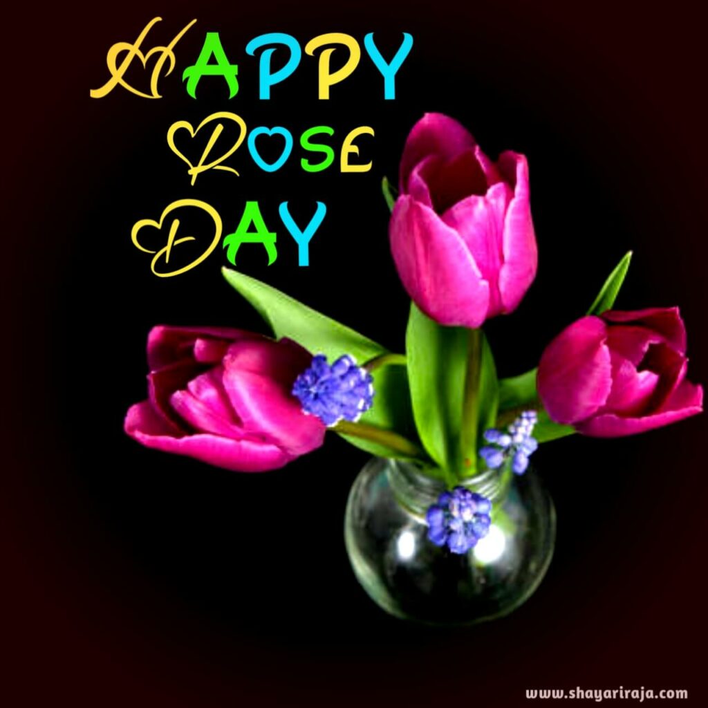 50+ Happy Rose Day Images & Wishes | Beautiful Picture