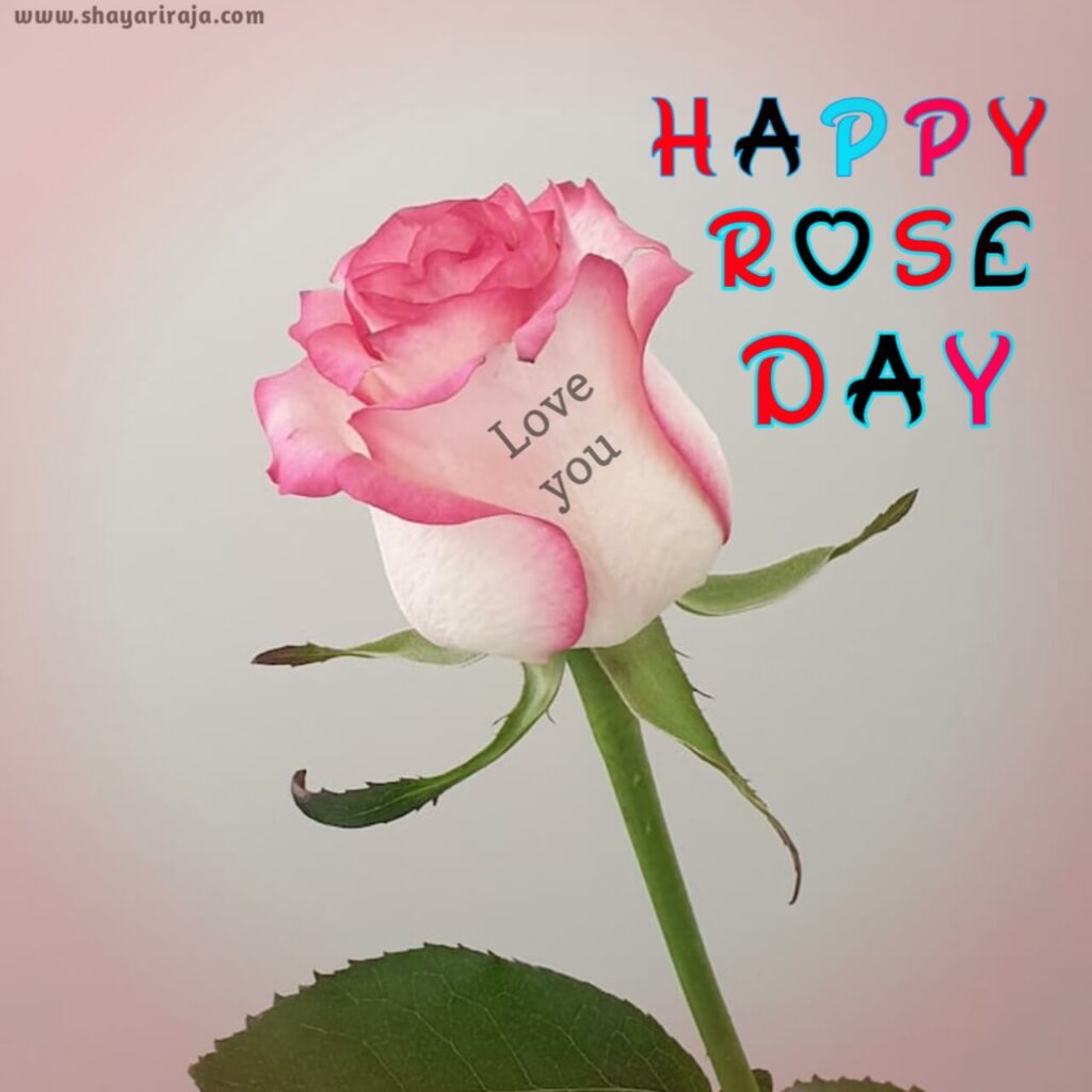 Image of Rose Day Images I love you