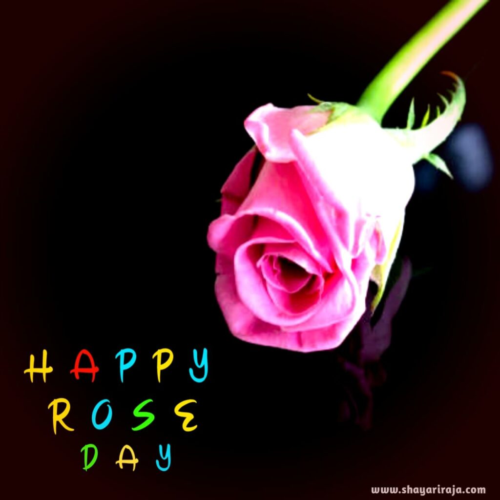 Image of Rose Day Images I love you