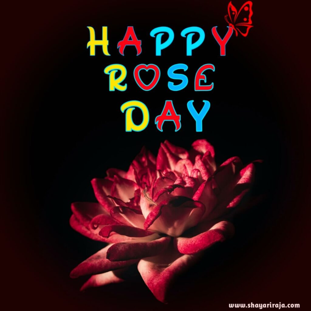 Image of Rose Day pic gf Bf
