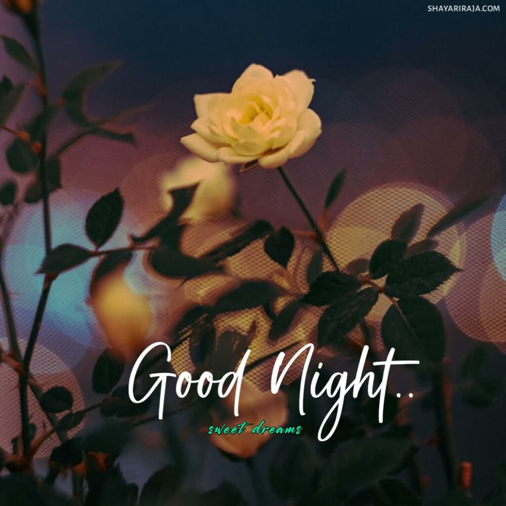 Special Good Night Images
