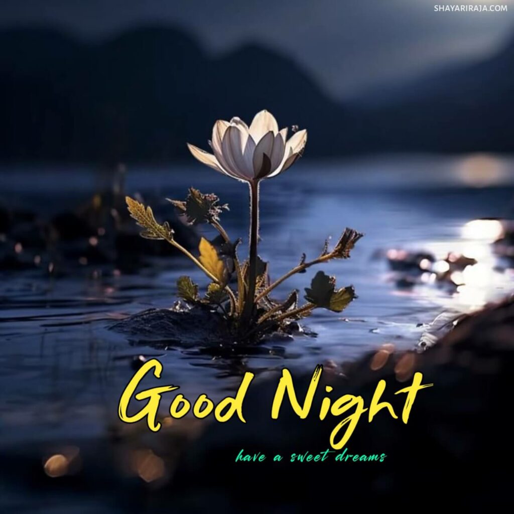 Good Night Images new