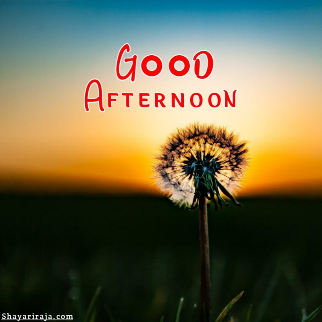 Good Afternoon Images Gif