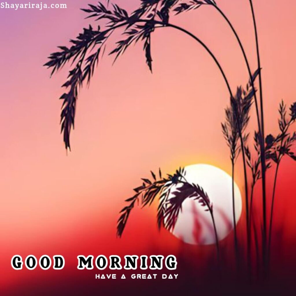 Image of Good Morning Images new