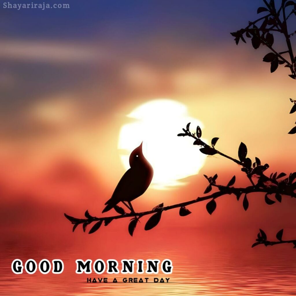 Image of Good Morning Images HD