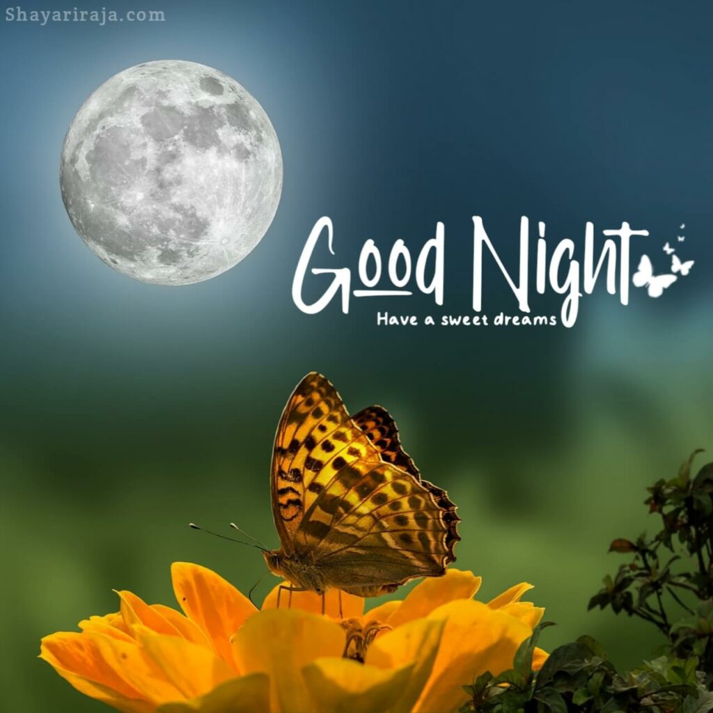 Image of Good Night Images for Friends