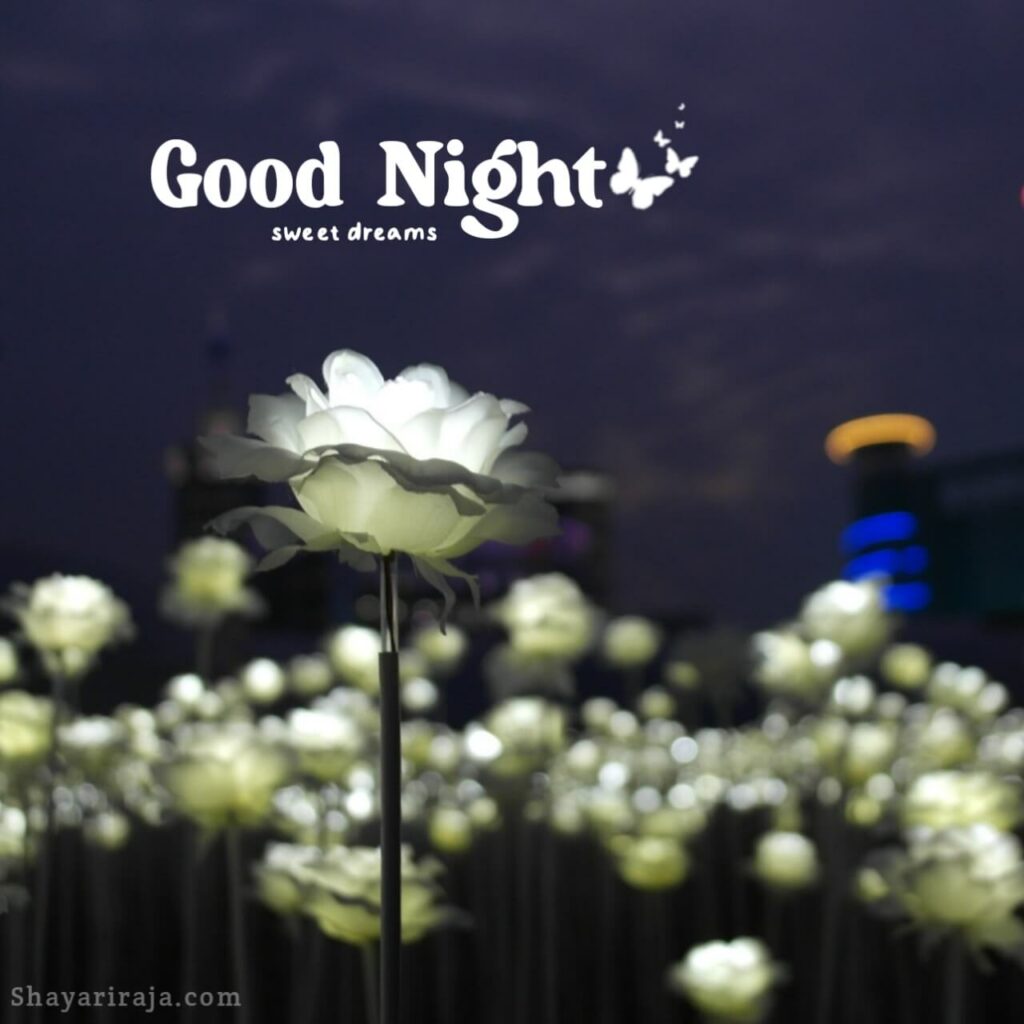 Good Night Images New