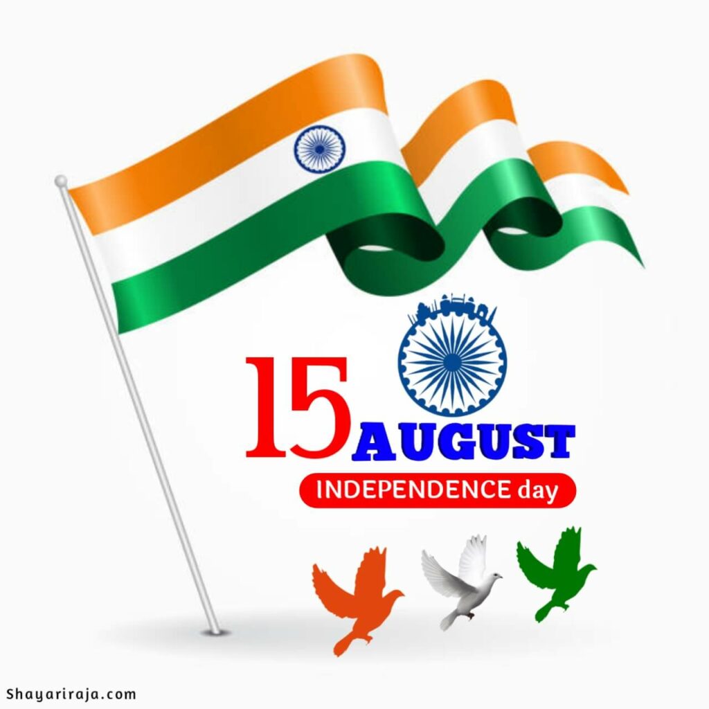 Image of 15 August Sticker