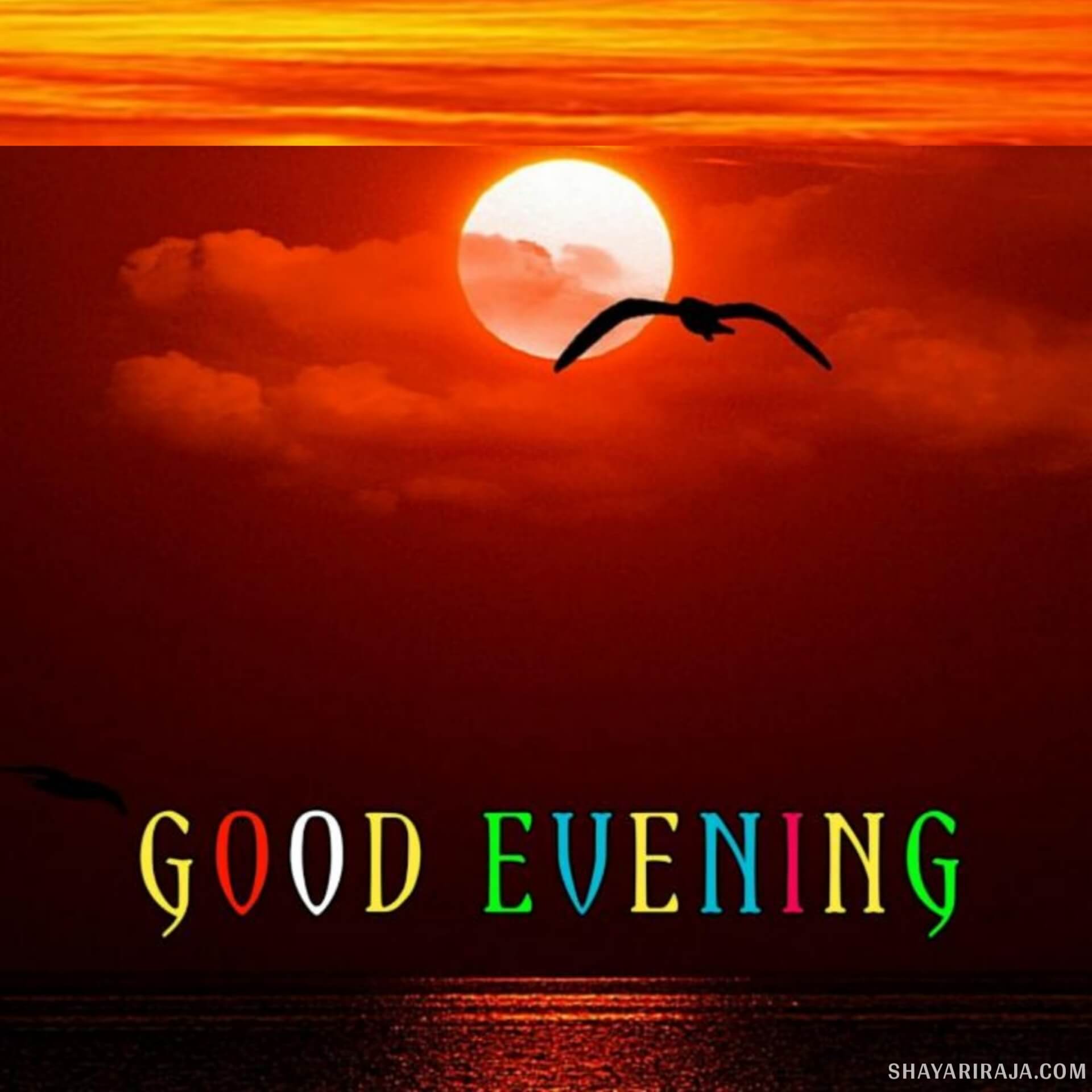 50+ Best Good Evening Images Wishes & Quotes