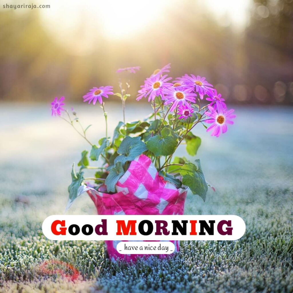 good morning images in english
