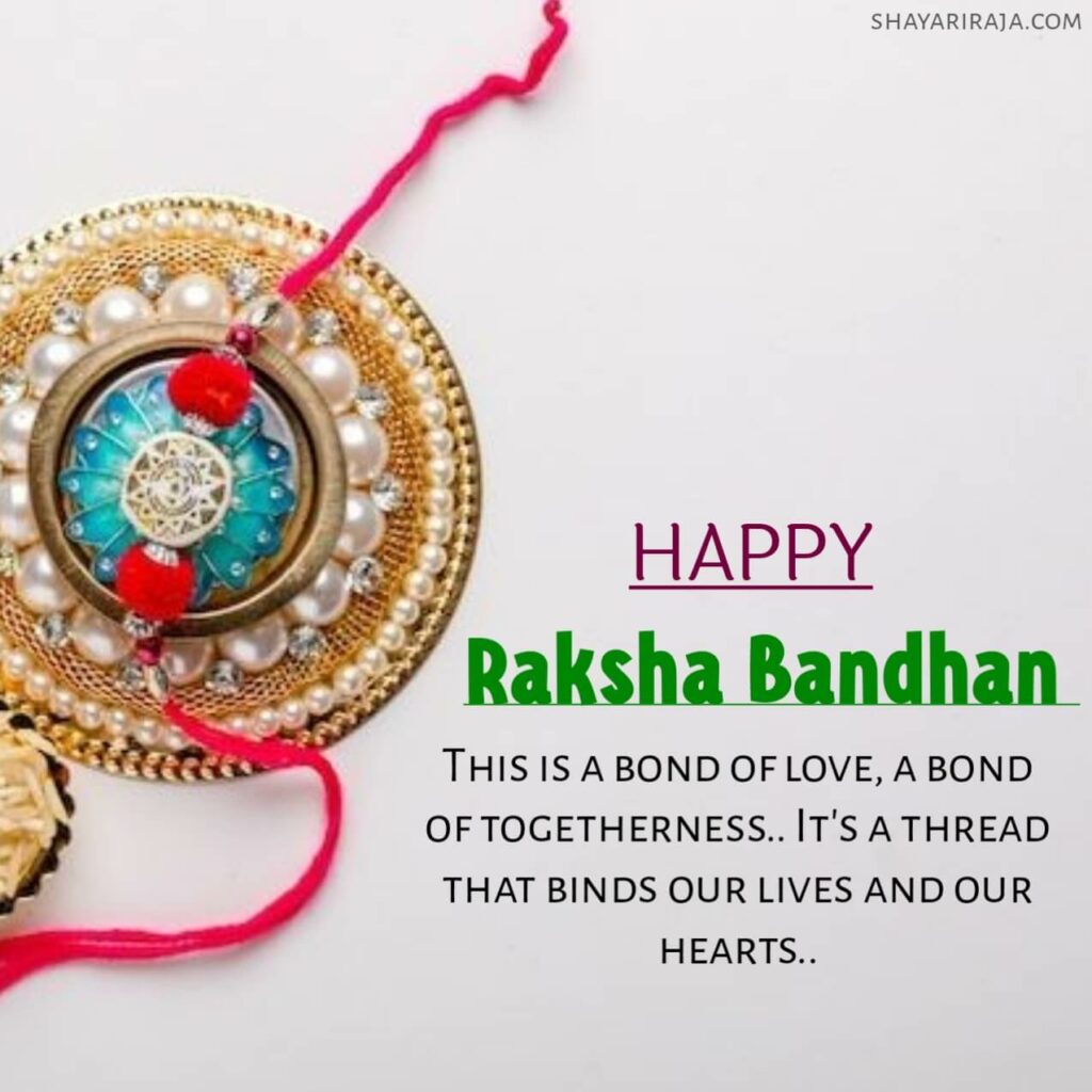 Raksha Bandhan pictures for project
