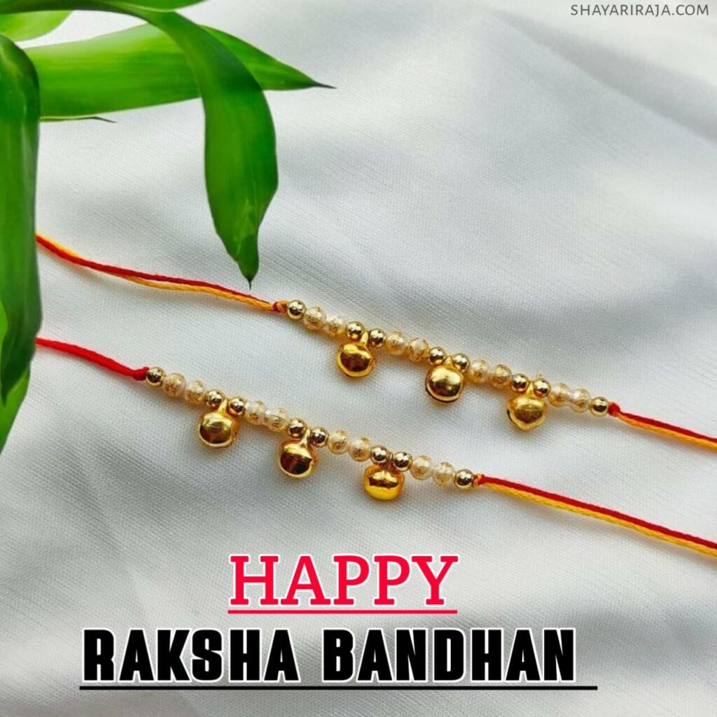 Raksha Bandhan Images brother 
