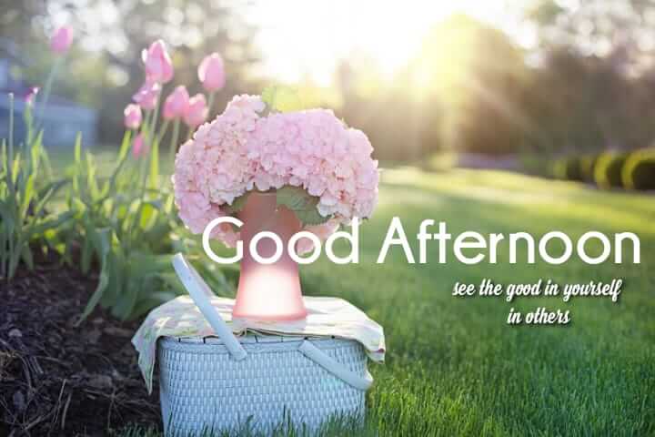 Good Afternoon Images HD

