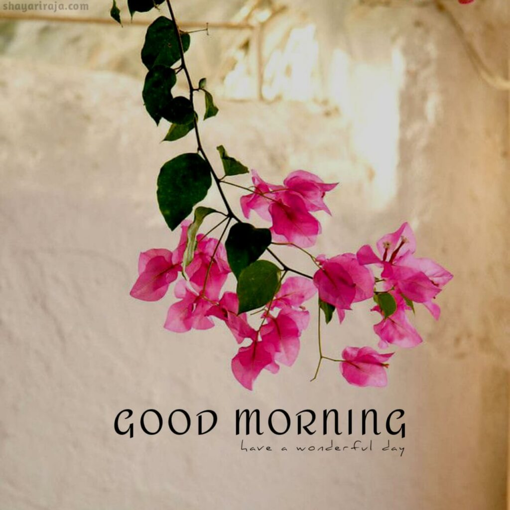 happy good morning images
