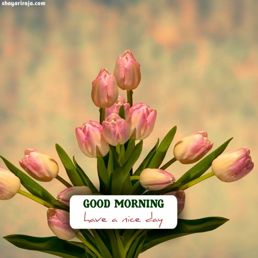 good morning images in english
