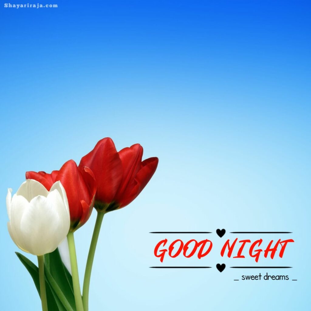 Special Good Night Images
