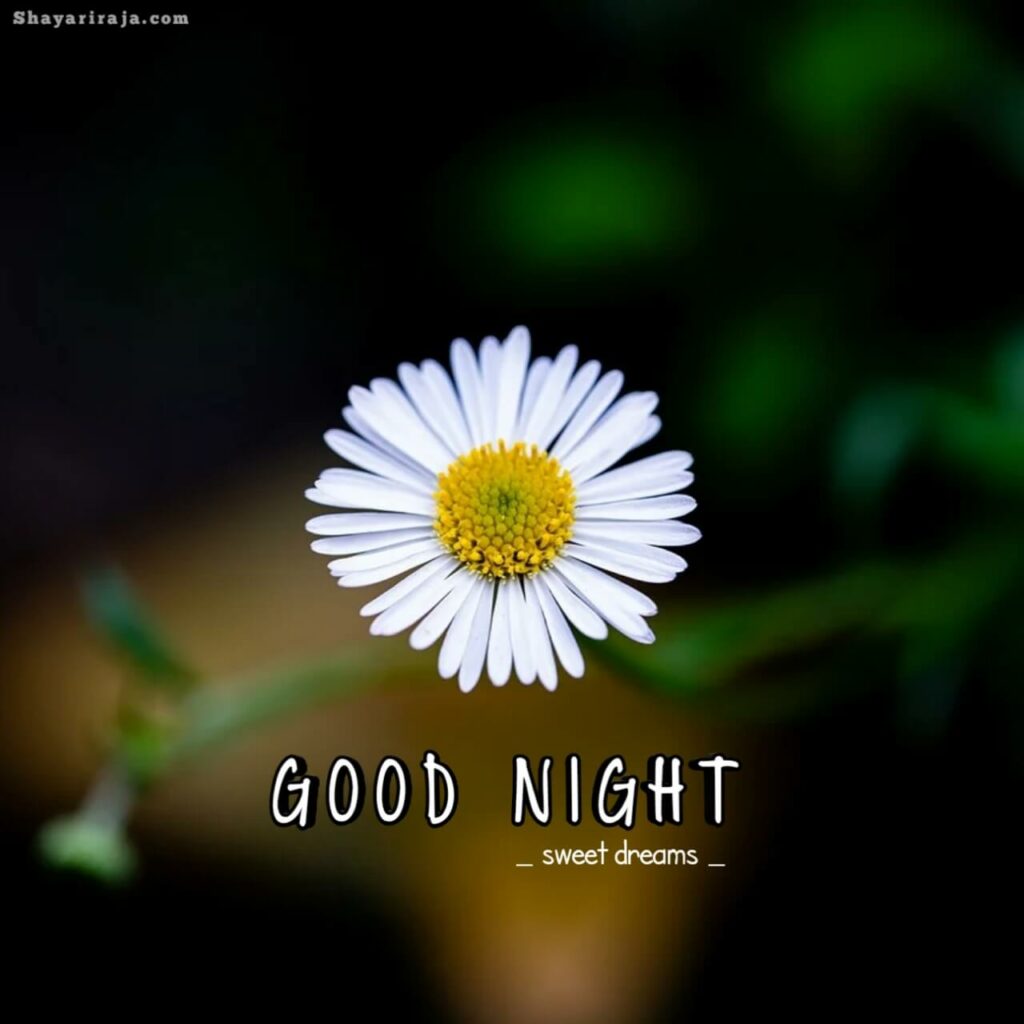 Image of Good Night Images with Quotes

