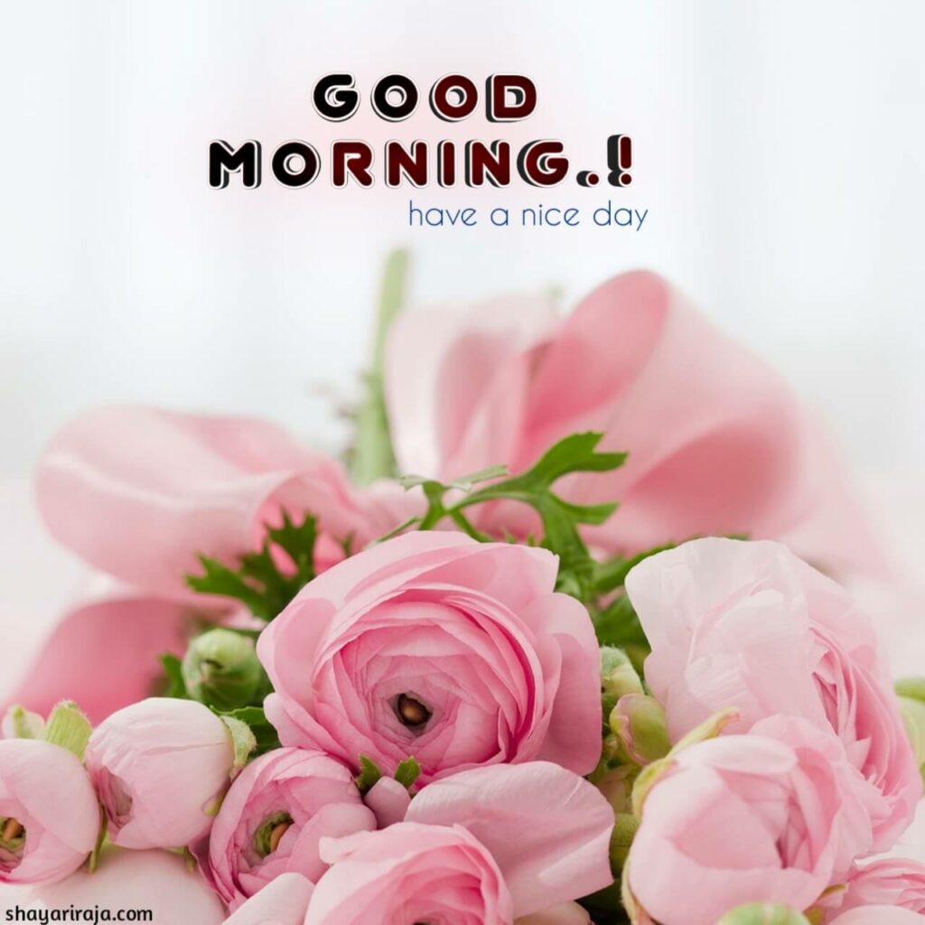 Image of Good Morning Images love
