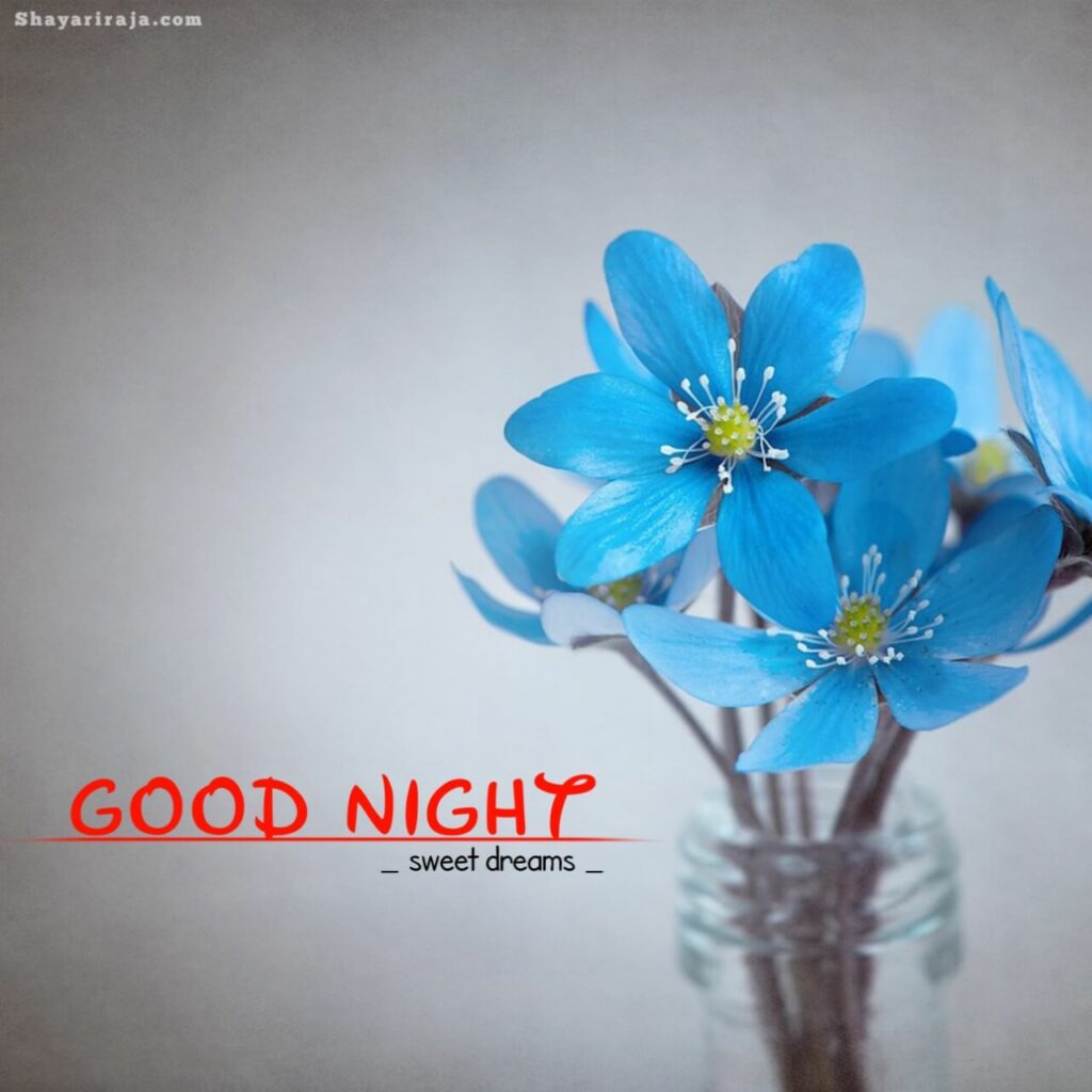Image of Good Night Love
