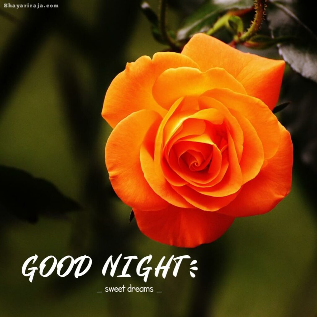 Image of Good Night Images with Love

