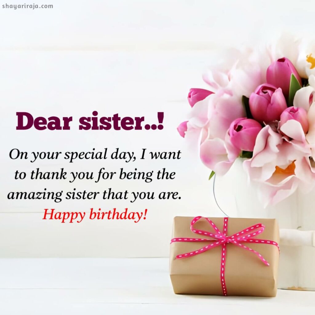 birthday wishes for sister hindi
