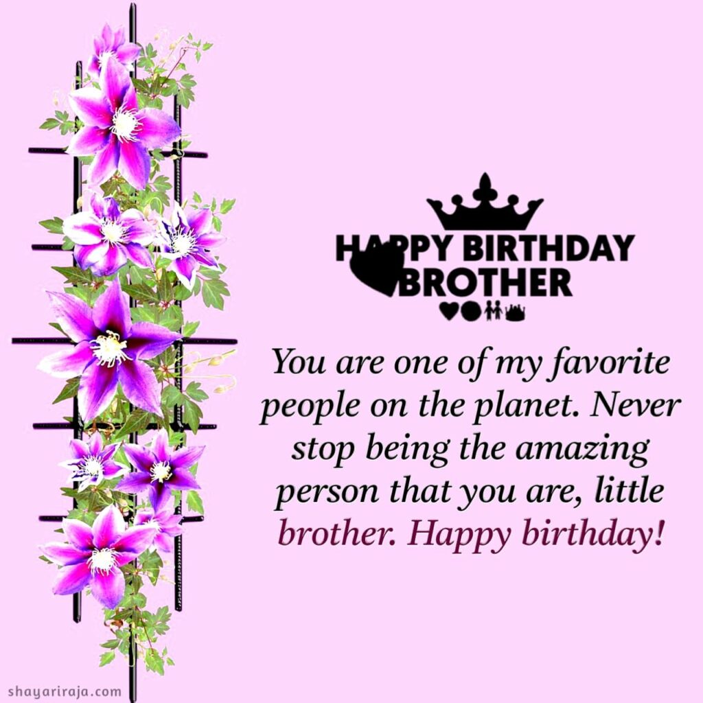 birthday wishes for brother hindi

