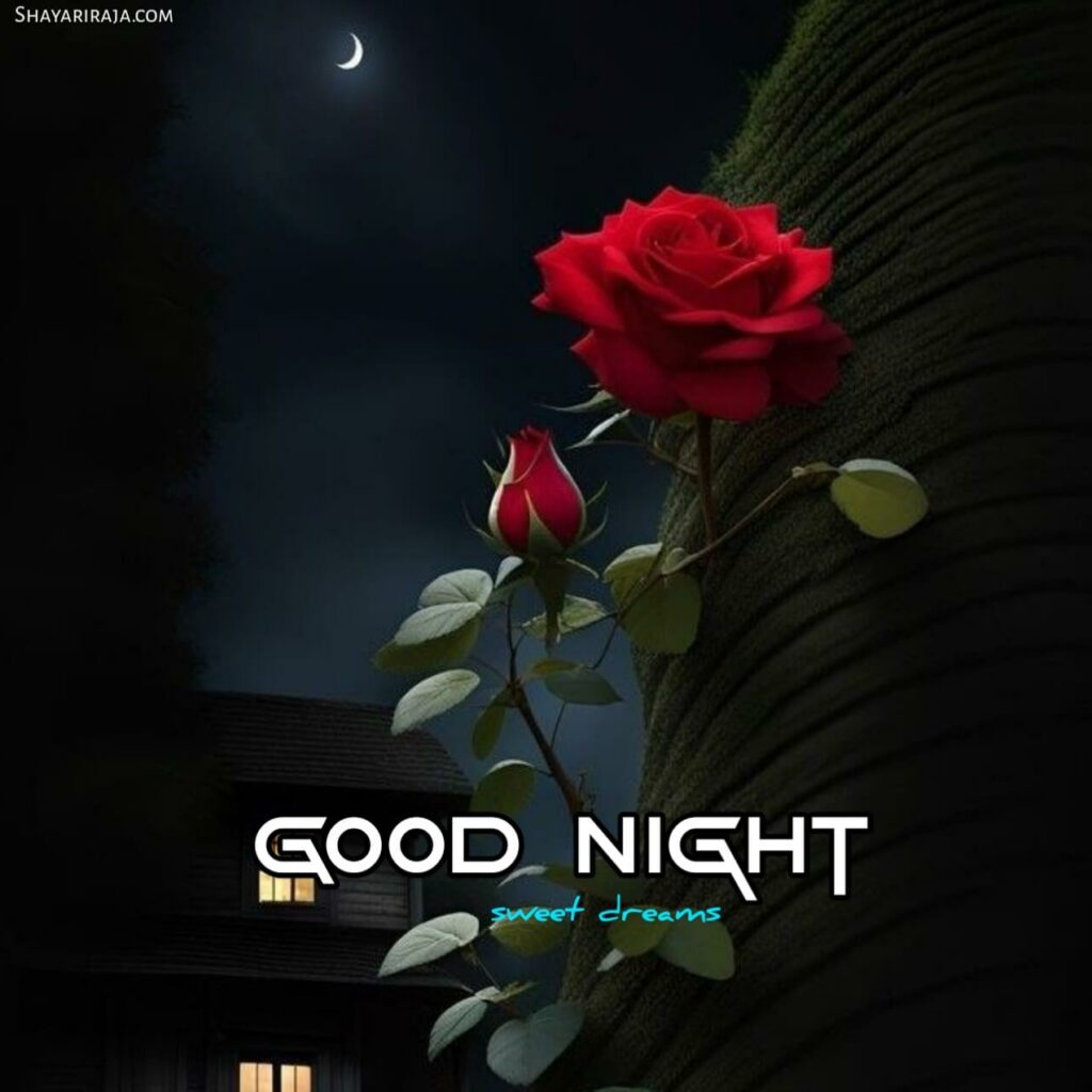 special good night images

