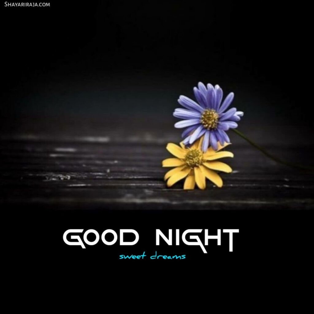 good night images hindi
