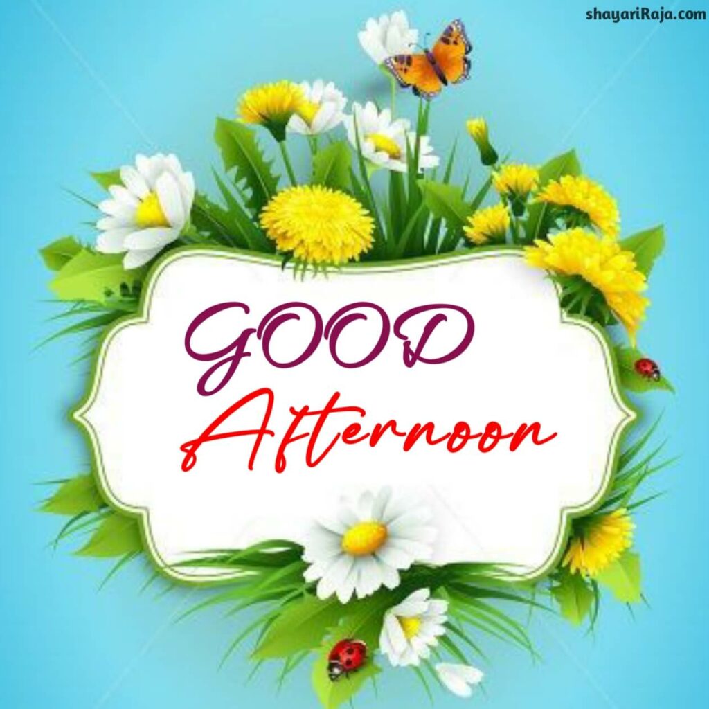 good afternoon images hindi
